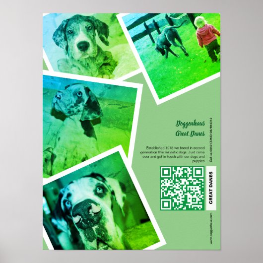 Great Dane Fokkerij Promotie Poster (Voorkant)