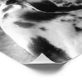 GREAT DANE FOTO AFDRUK (Hoek)