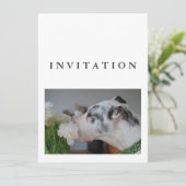 Great Dane foto uitnodiging (Staand voorkant)