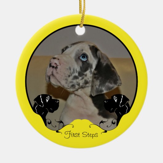 Great Dane Fotografisch Ornament (Voorkant)