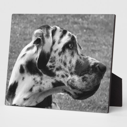 GREAT DANE FOTOPLAAT (Zijkant)