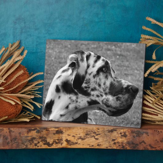 GREAT DANE FOTOPLAAT (Zijkant)