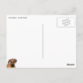 Great Dane Gentle Giant Briefkaart (Achterkant)