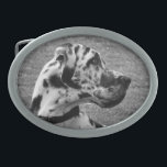 GREAT DANE GESP<br><div class="desc">Een prachtig zwart-wit fotografisch ontwerp van een Great Dane dog.</div>
