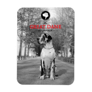 Great Dane Graphics Magneet