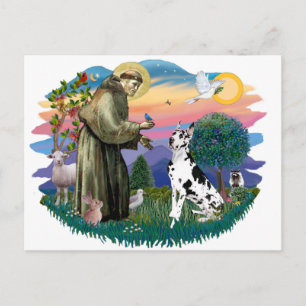 Great Dane (Harlekijn) Briefkaart
