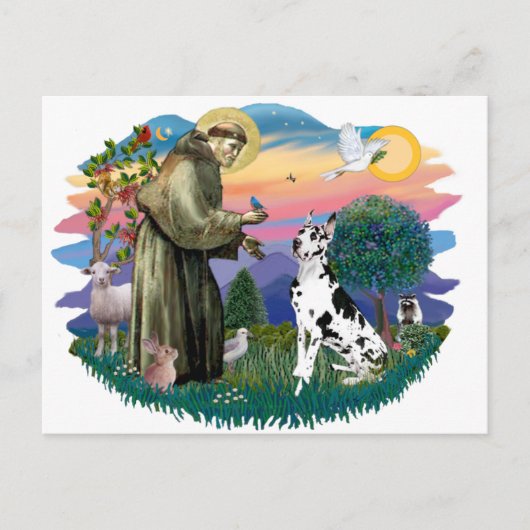 Great Dane (Harlekijn) Briefkaart (Voorkant)