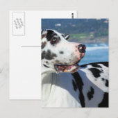 Great Dane - Harlequin - Bogey Briefkaart (Voorkant / Achterkant)