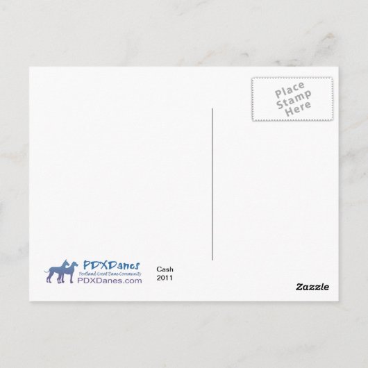 Great Dane Harlequin "Cash" Briefkaart (Achterkant)