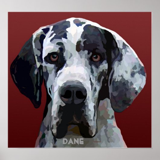 Great Dane Harly Face Poster (Voorkant)