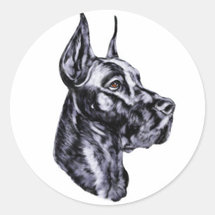 Great Dane Head-studie zwart Ronde Sticker