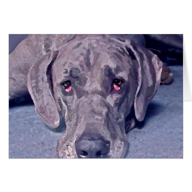 Great Dane Hero (Voorkant Horizontaal)