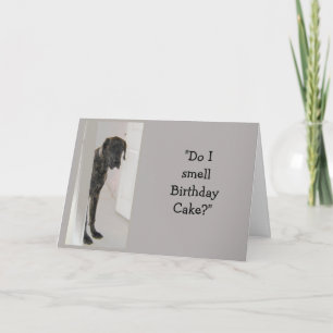 Great Dane Hond Humor Verjaardagstaart Pret Kaart