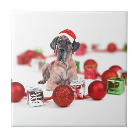 Great Dane-hond met kerstversieringen cadeaus Tegeltje (Voorkant)