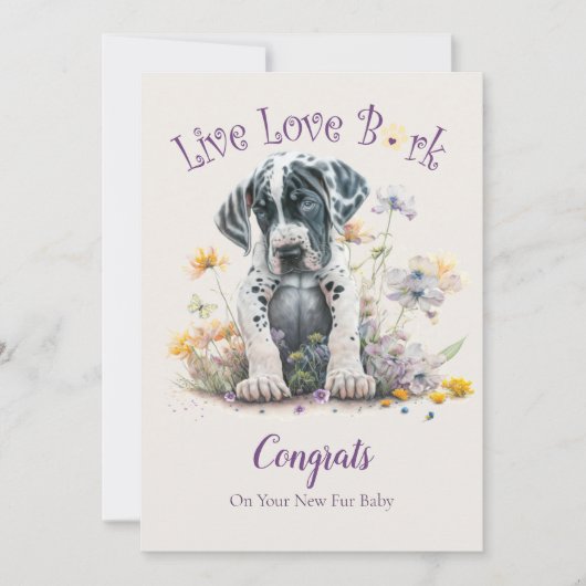 Great Dane honden adoptie, Gotcha-dag Kaart (Voorkant)