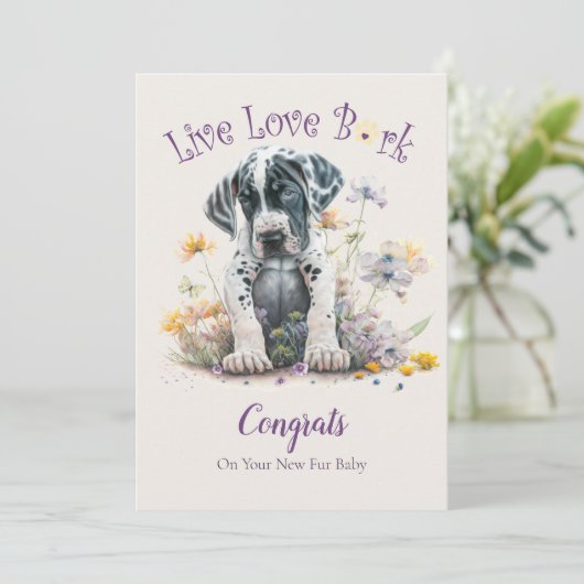 Great Dane honden adoptie, Gotcha-dag Kaart (Staand voorkant)