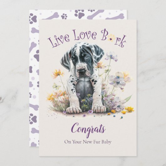 Great Dane honden adoptie, Gotcha-dag Kaart (Voorkant / Achterkant)