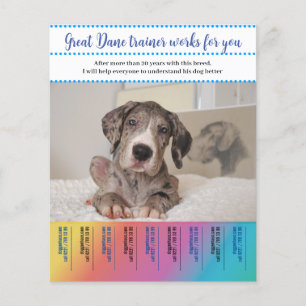Great Dane honden trainer Flyer
