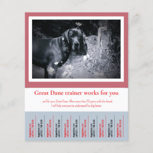 Great Dane Hondentrainer Flyer