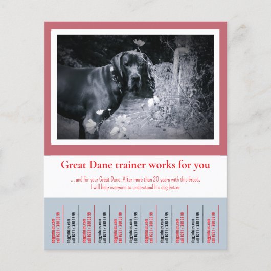 Great Dane Hondentrainer Flyer (Voorkant)