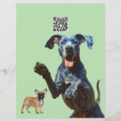 Great Dane hondenuitlater en -oppas  Flyer (Achterkant)