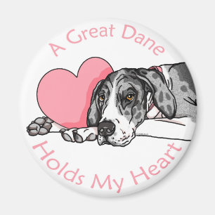 Great dane houdt Hart MerleB UC Magneet