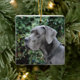 Great Dane Images Keramisch Ornament