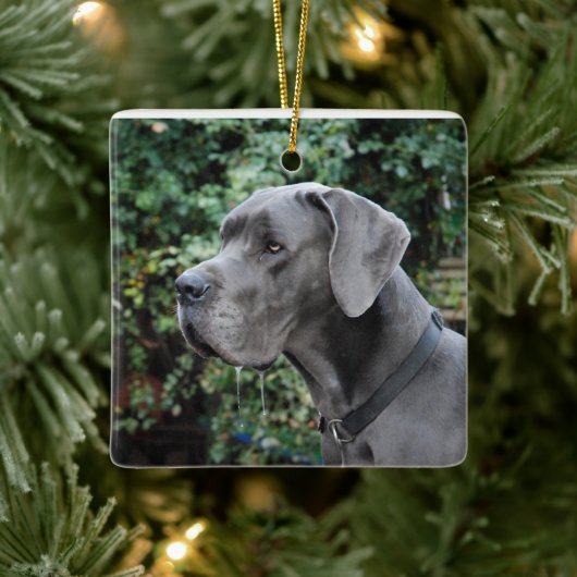 Great Dane Images Keramisch Ornament (Boom)