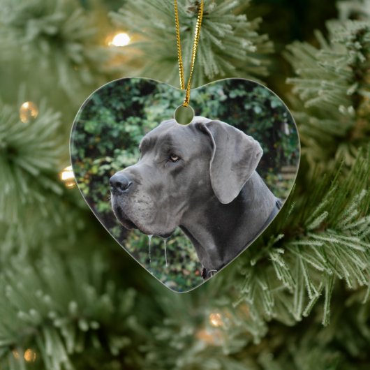 Great Dane Images Keramisch Ornament (Boom)