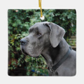 Great Dane Images Keramisch Ornament (Voorkant)