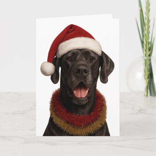 Great Dane in a Santa hat Christmas card Kaart (Voorkant)