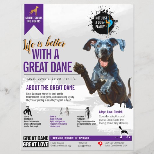 Great Dane informatie Flyer (Voorkant)