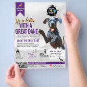Great Dane informatie Flyer (Hand)