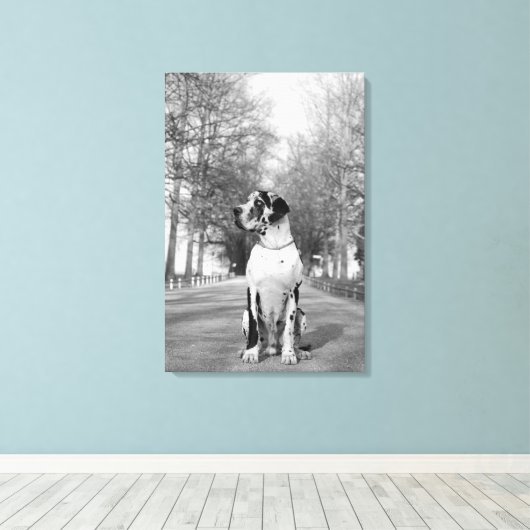 Great Dane Ingepakt Canvas Afdruk (Insitu (Houten vloer))