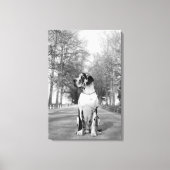 Great Dane Ingepakt Canvas Afdruk (Voorkant)