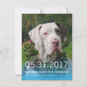 Great Dane Invite Magnetische Uitnodiging (Voorkant)
