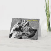 GREAT DANE KAART (Voorkant)