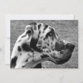 GREAT DANE KAART (Voorkant)