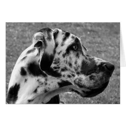 GREAT DANE Kaart (Voorkant Horizontaal)