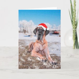 Great Dane Kerstmis Feestdagen Kaart