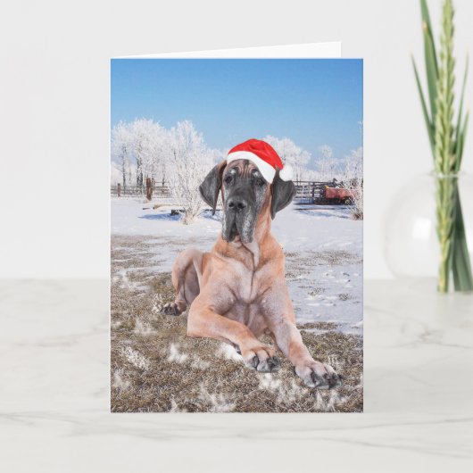Great Dane Kerstmis Feestdagen Kaart (Voorkant)