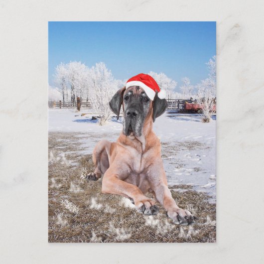 Great Dane Kerstmis Feestdagenkaart (Voorkant)