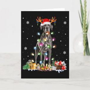 Great Dane Kerstmis Kerstmannenhoed Sprookjeslicht Kaart