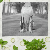 Great Dane Keukenhanddoeken (Gevouwen)