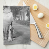 Great Dane Keukenhanddoeken (Quarter Fold)