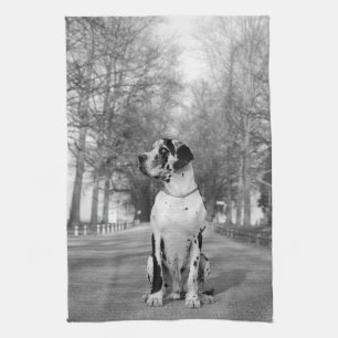 Great Dane Keukenhanddoeken