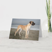 Great Dane King of Dogs Wenskaart
