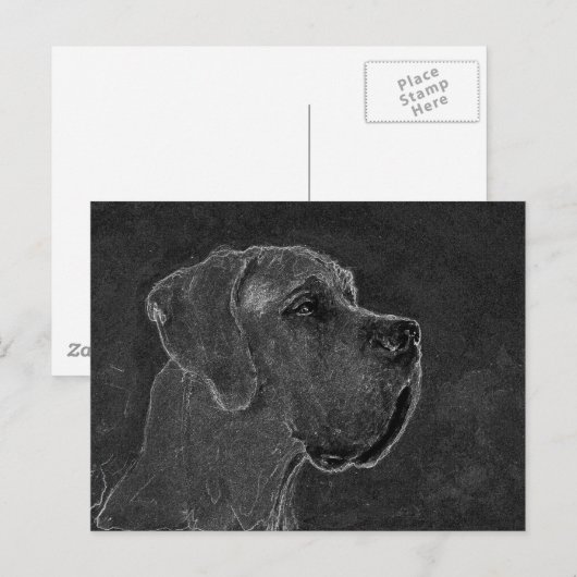 Great Dane kop houtskool tekening Briefkaart (Voorkant / Achterkant)