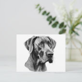 Great Dane kop tekening Ansichtkaart Briefkaart (Staand voorkant)