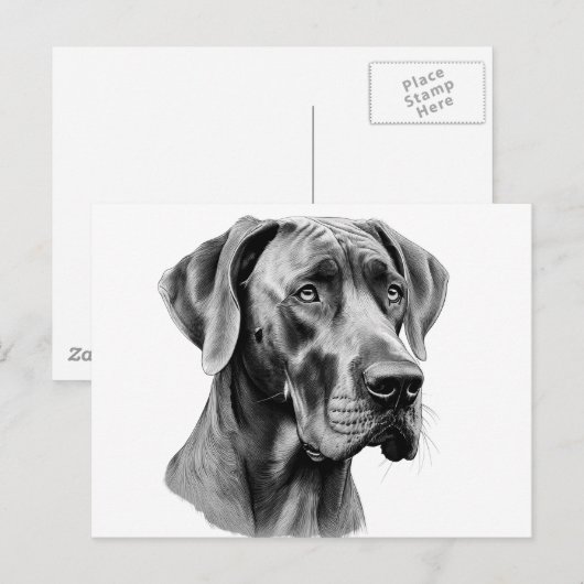 Great Dane kop tekening Ansichtkaart Briefkaart (Voorkant / Achterkant)